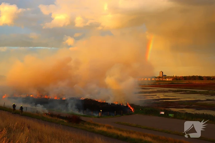 Bermbrand zet natuurgebied in vuur