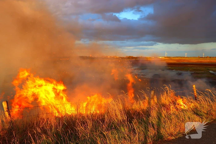 Bermbrand zet natuurgebied in vuur