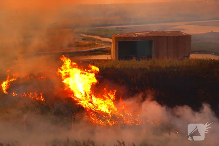 Bermbrand zet natuurgebied in vuur