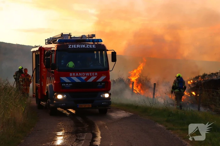 Bermbrand zet natuurgebied in vuur