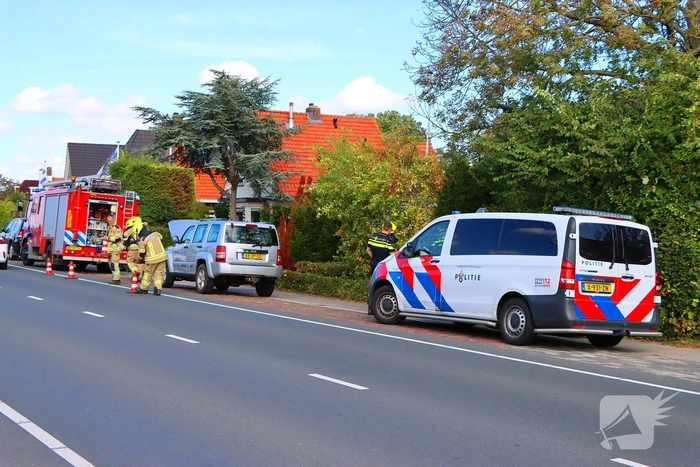Dynamo oorzaak van autorook
