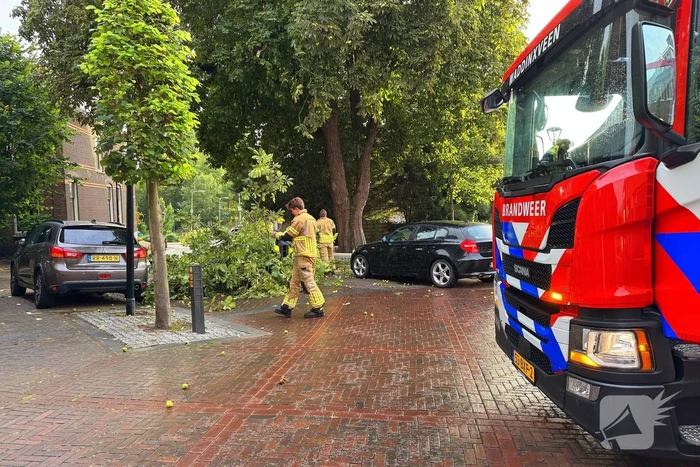 Brandweer verwijdert gebroken tak