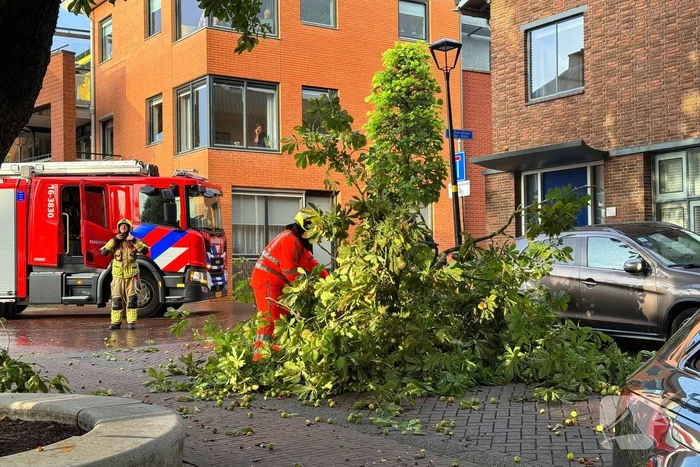 Brandweer verwijdert gebroken tak