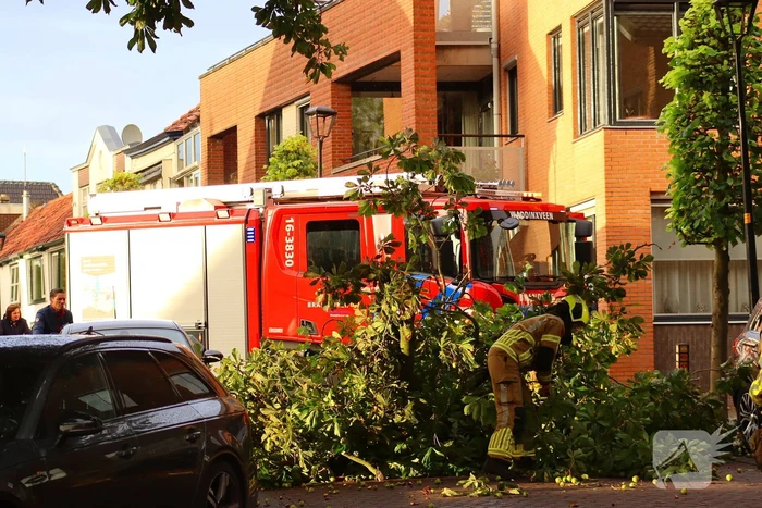 Brandweer verwijdert gebroken tak
