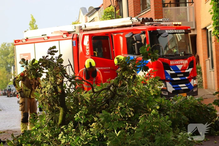Brandweer verwijdert gebroken tak
