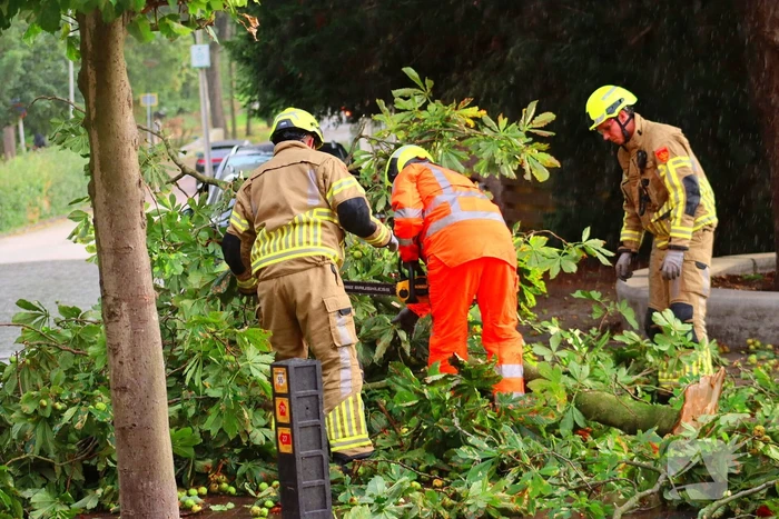 Brandweer verwijdert gebroken tak