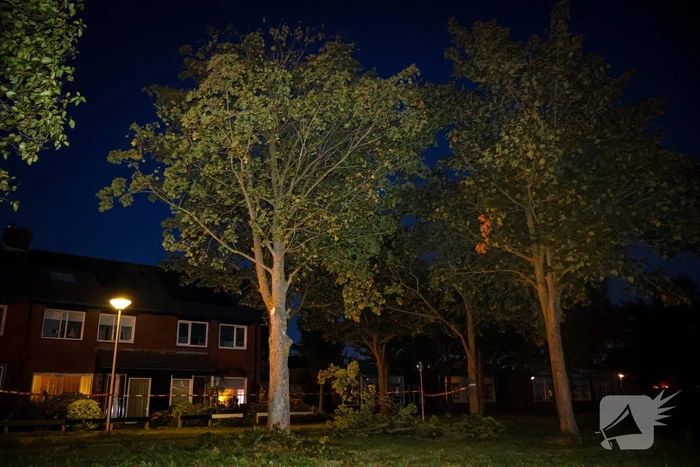 Brandweer zaagt takken van schuinstaande boom af