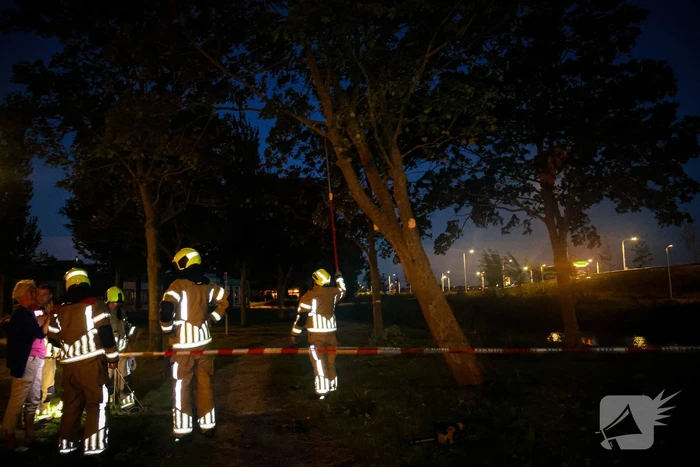 Brandweer zaagt takken van schuinstaande boom af