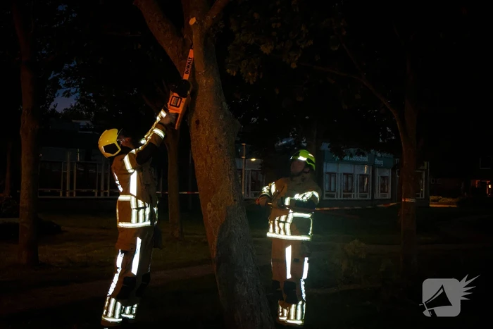 Brandweer zaagt takken van schuinstaande boom af