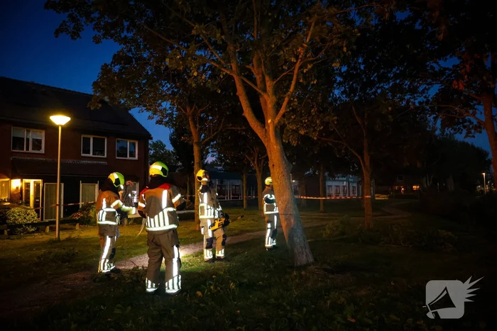 Brandweer zaagt takken van schuinstaande boom af