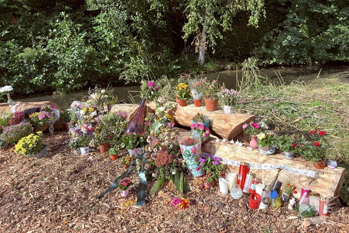 Monument ter nagedachtenis aan Lisa