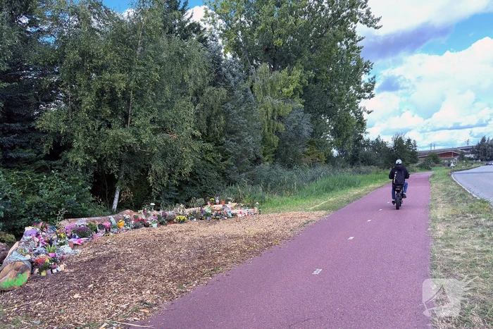 Monument ter nagedachtenis aan Lisa