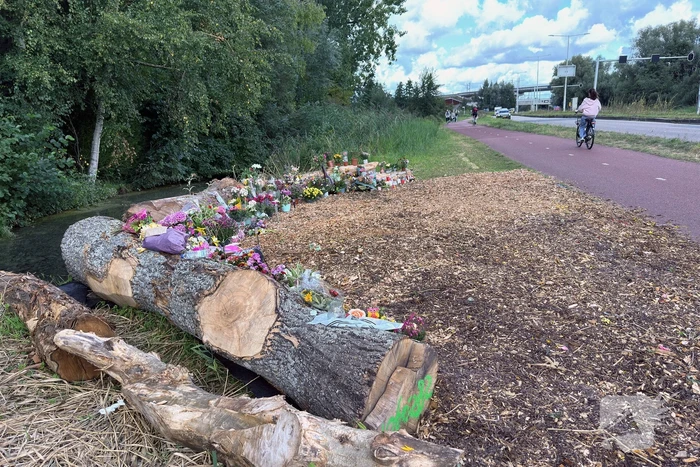 Monument ter nagedachtenis aan Lisa