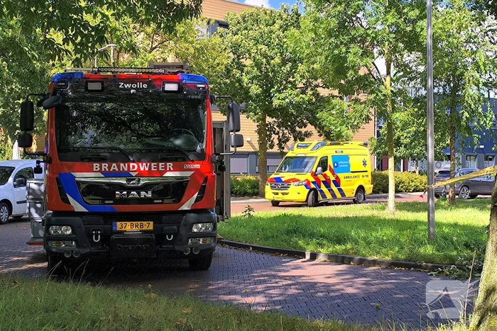 Gewonde door vallende tak
