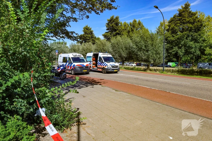 Dodelijk ongeval na aanrijding met vrachtwagen