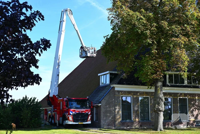 Brandweer inzet voor kitten niet nodig