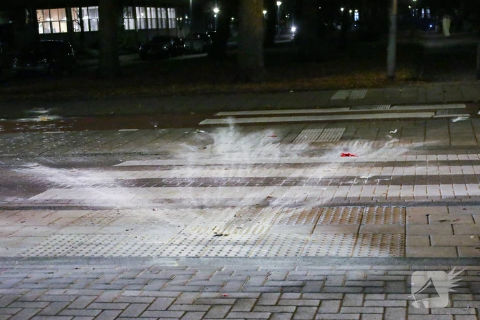 Brand in politieauto snel geblust