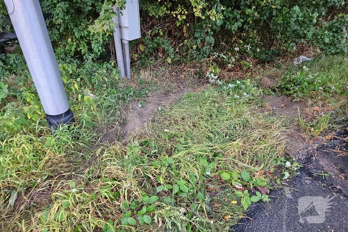 Bestuurder mist bocht en belandt in bosschage