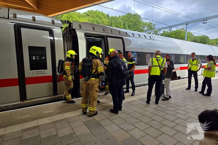 Rookontwikkeling in trein