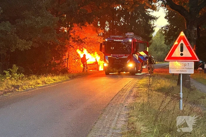 Auto klapt tegen boom en vliegt in brand