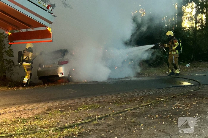 Auto klapt tegen boom en vliegt in brand