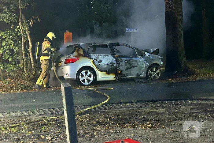 Auto klapt tegen boom en vliegt in brand