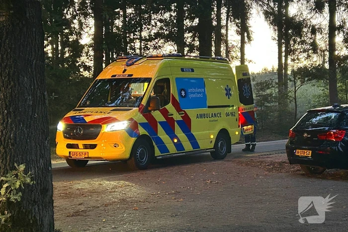 Auto klapt tegen boom en vliegt in brand