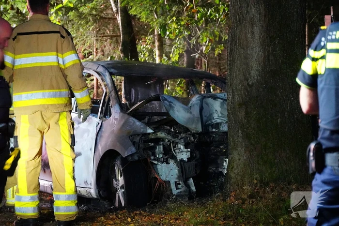Auto klapt tegen boom en vliegt in brand