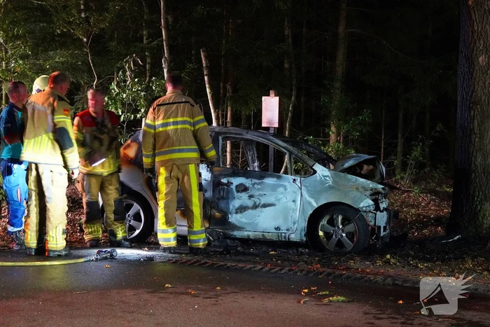 Auto klapt tegen boom en vliegt in brand