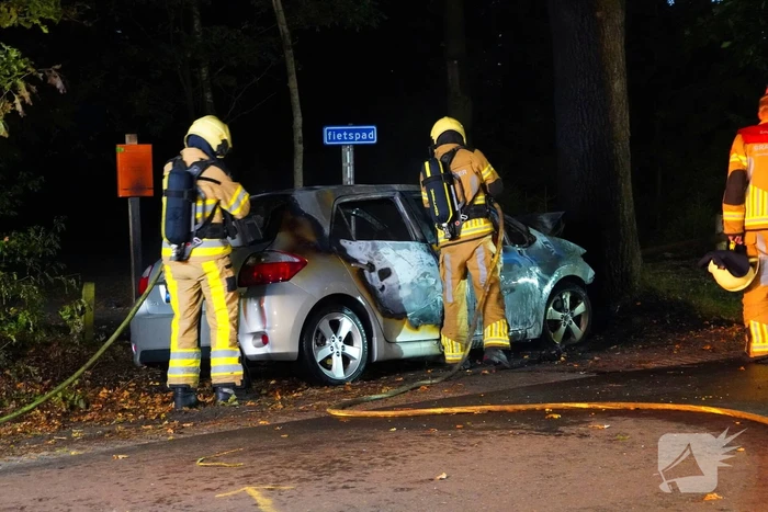 Auto klapt tegen boom en vliegt in brand