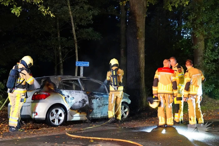 Auto klapt tegen boom en vliegt in brand