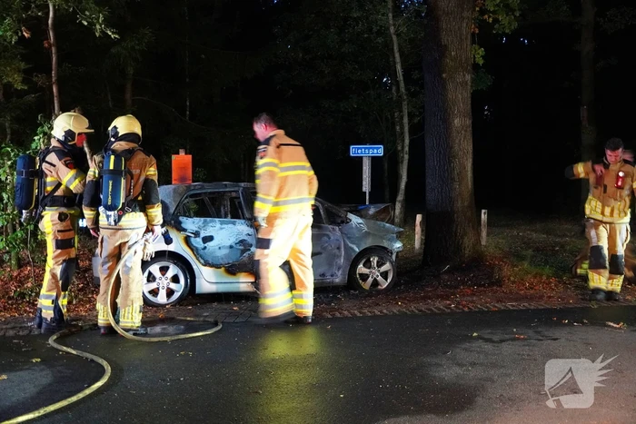 Auto klapt tegen boom en vliegt in brand