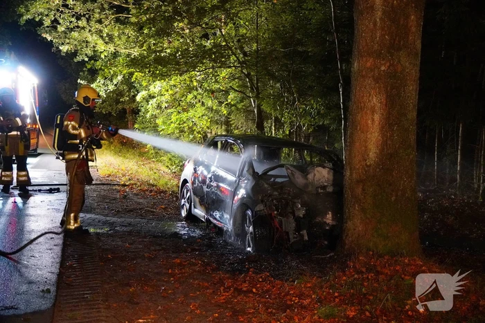 Auto klapt tegen boom en vliegt in brand