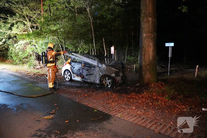 Auto klapt tegen boom en vliegt in brand
