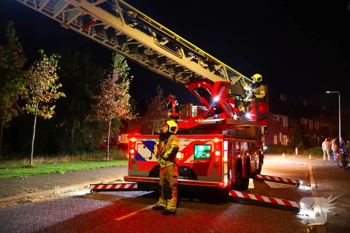 Boom getroffen door blikseminslag