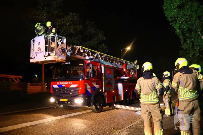 Boom getroffen door blikseminslag