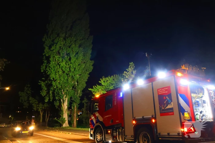 Boom getroffen door blikseminslag