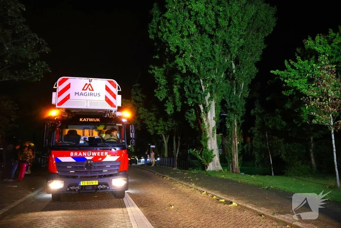 Boom getroffen door blikseminslag