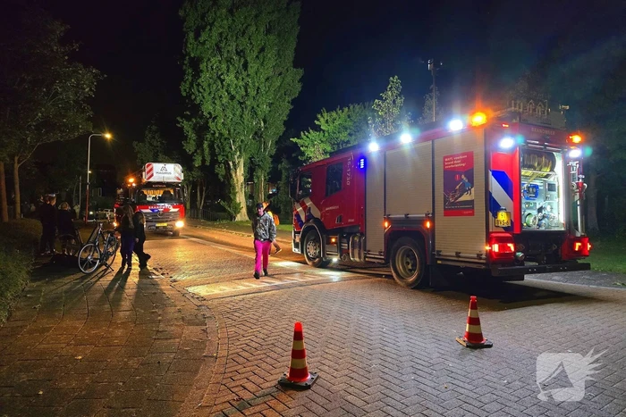 Boom getroffen door blikseminslag