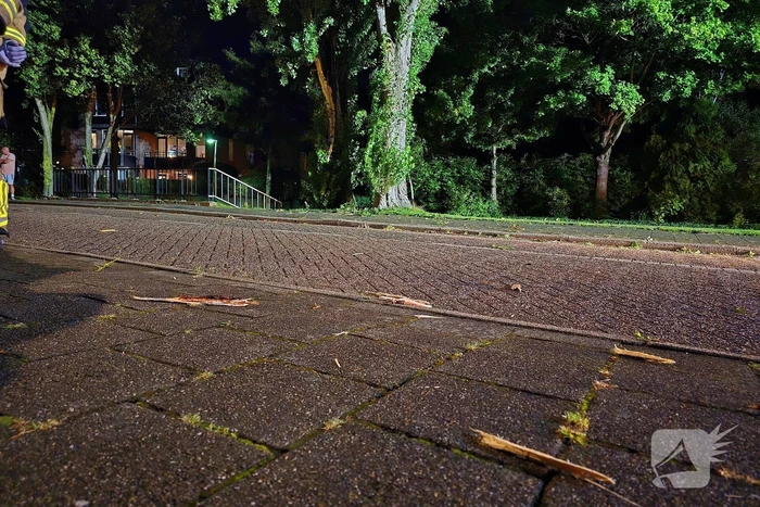 Boom getroffen door blikseminslag