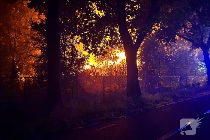 Grote nachtelijke brand