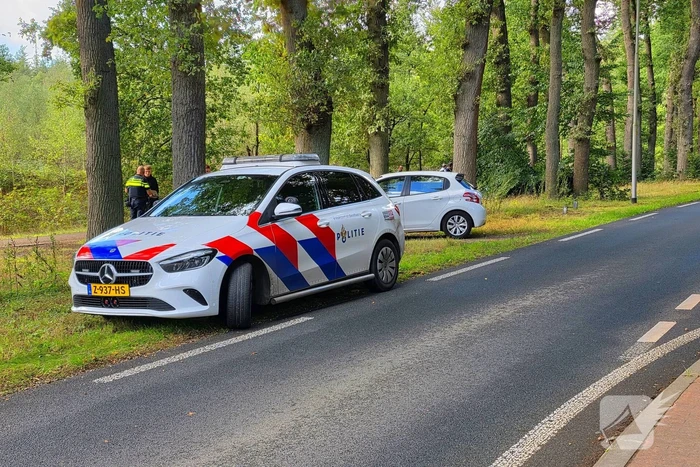 Ongeval les voertuig en personenauto twee voertuigen een eindigt tegen boom