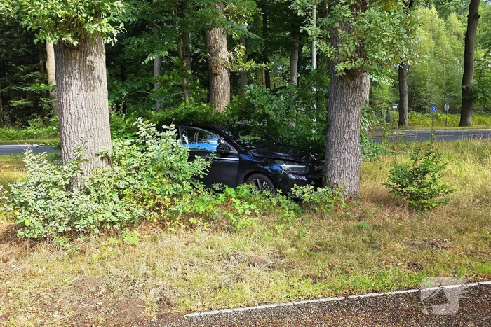 Ongeval les voertuig en personenauto twee voertuigen een eindigt tegen boom