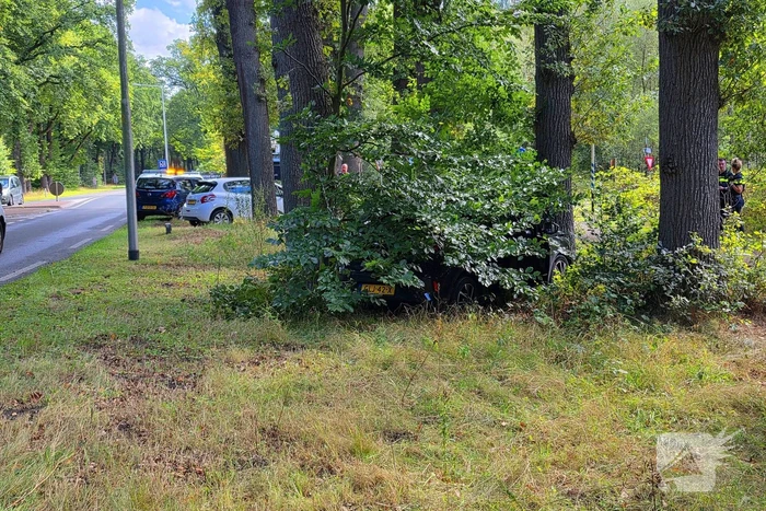 Ongeval les voertuig en personenauto twee voertuigen een eindigt tegen boom