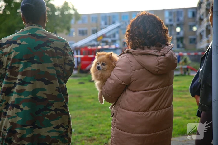 Woningbrand leidt tot ontruimingen en rookinhalatie
