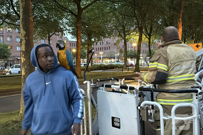 nieuws bijlmerdreef amsterdam