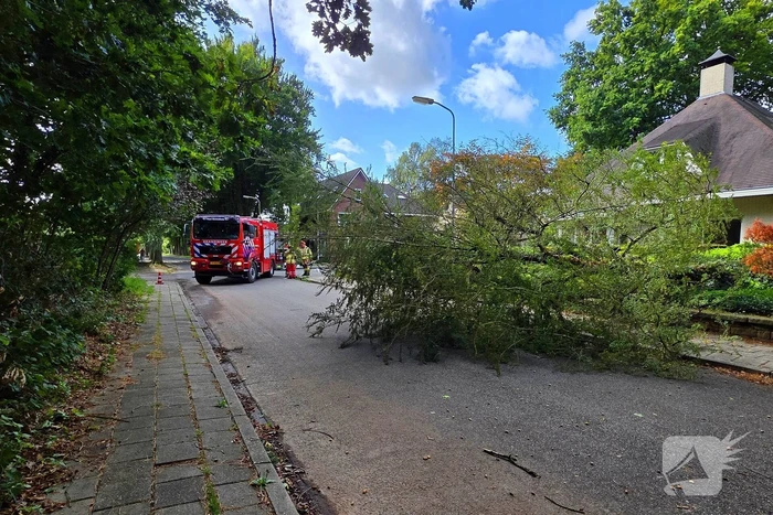 natuur selterskampweg bennekom