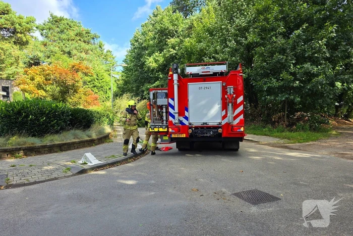 Storm doet boom omvallen op wegdek