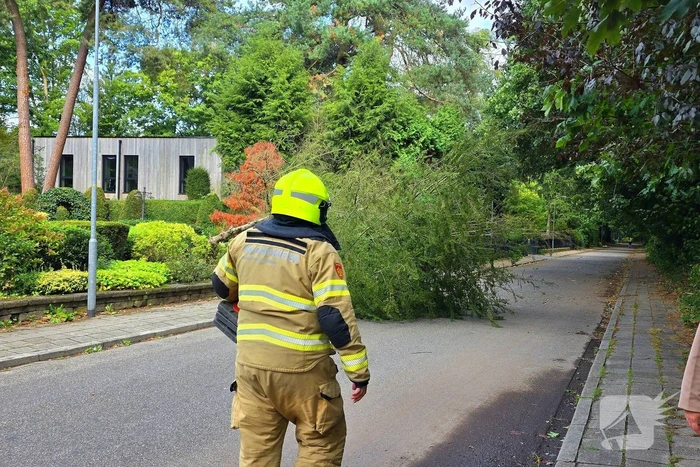 Storm doet boom omvallen op wegdek