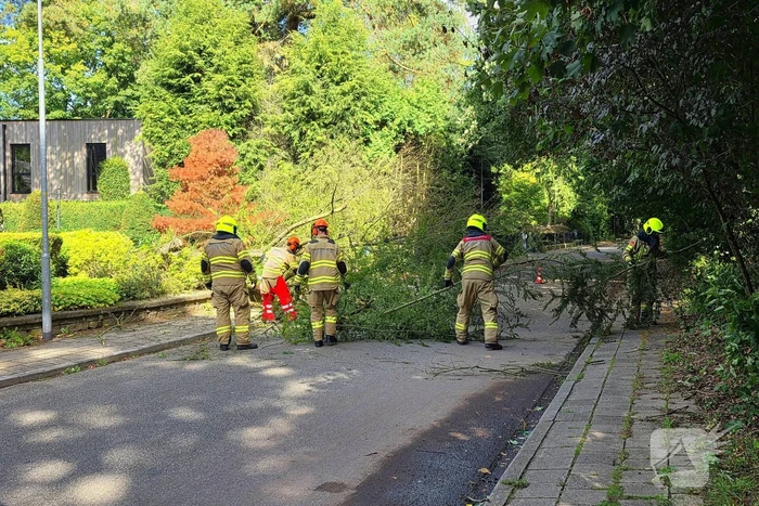 Storm doet boom omvallen op wegdek